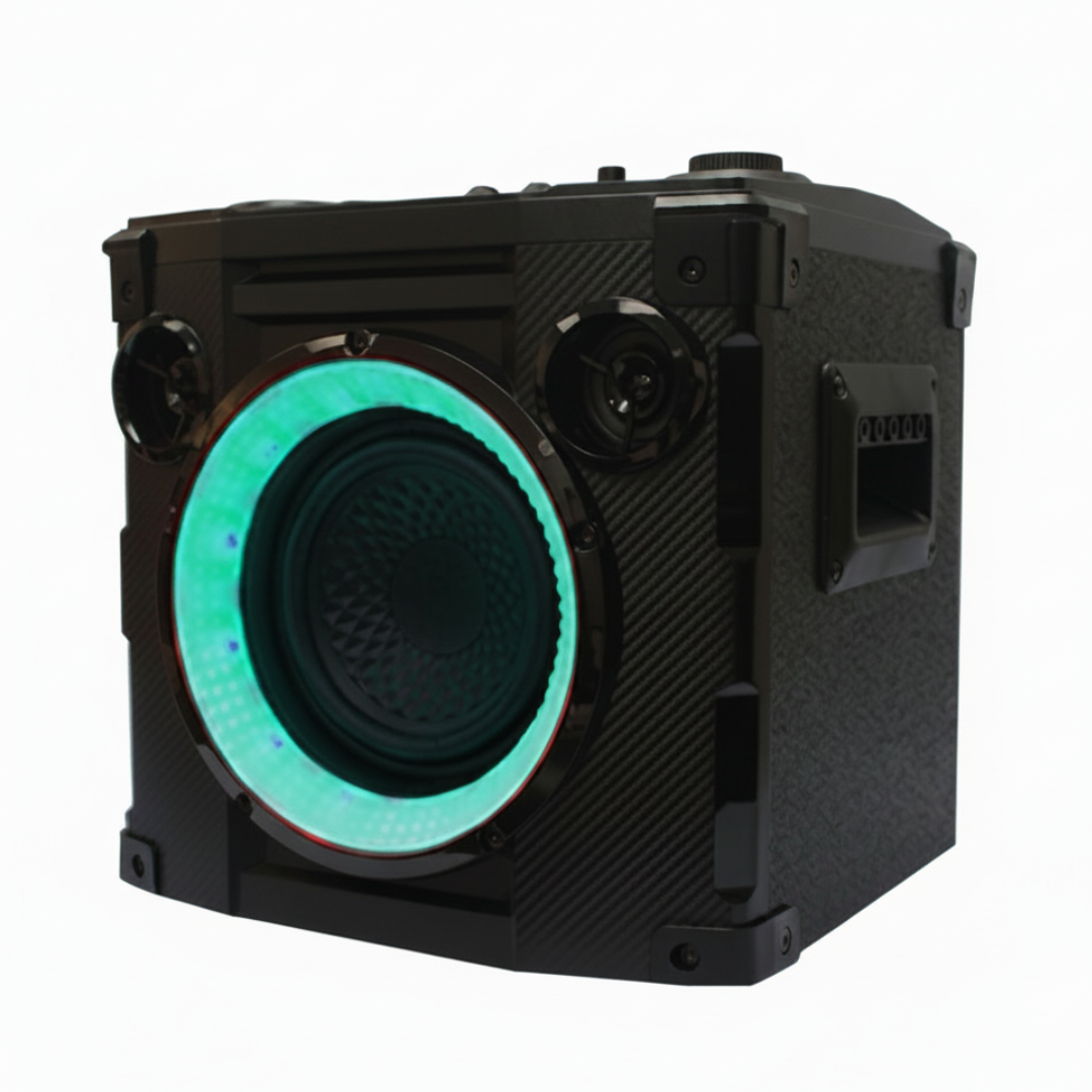 CHA-P1001B Party Speaker