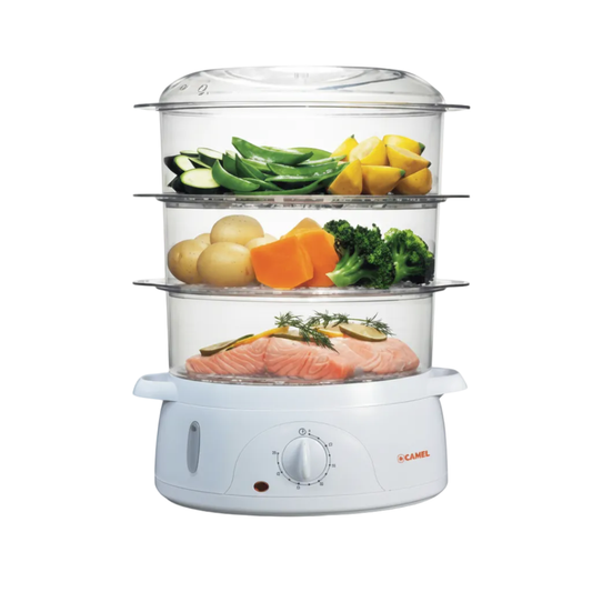 CS-9301 Electric Steamer